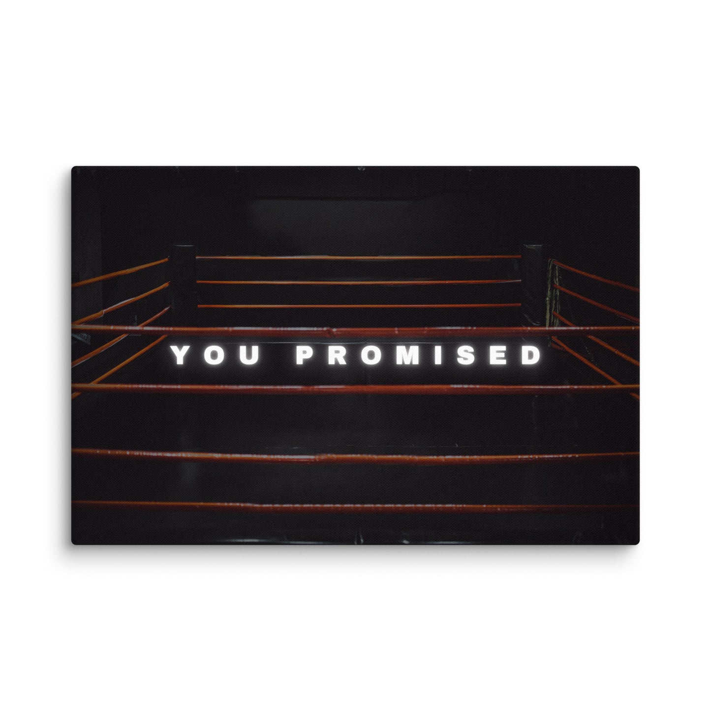 YOU PROMISED